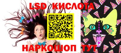 индика Кандалакша