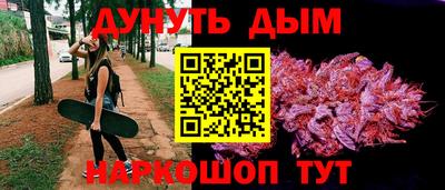 индика Кандалакша