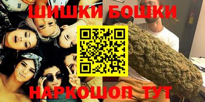 индика Кандалакша