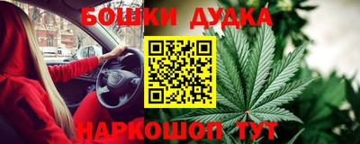 индика Кандалакша