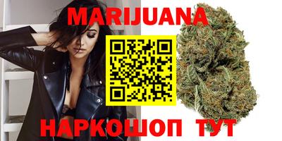 индика Кандалакша