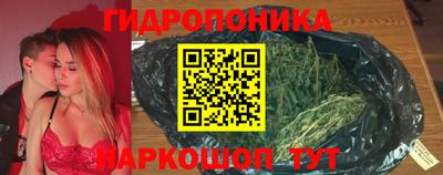 индика Кандалакша