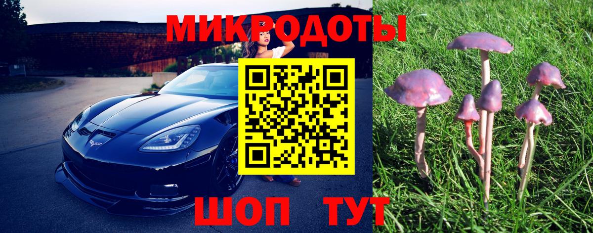 Псилоцибиновые грибы ЛСД Лениногорск